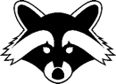 Raccoon